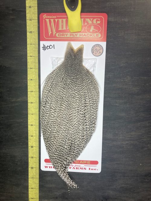whiting-dry-fly-cape-bronze-grizzly-001