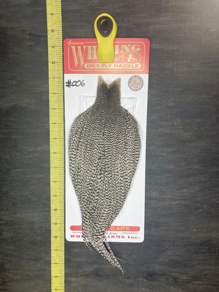 whiting-dry-fly-cape-bronze-grizzly-006