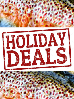 Holiday Specials!!!