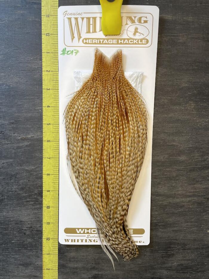Whiting Heritage Cape - Dark Barred Ginger #017