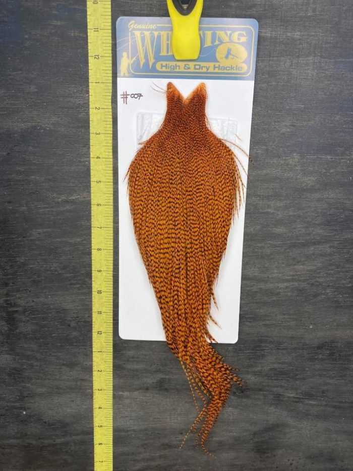 Whiting High & Dry Cape - Grizzly Burnt Orange #007