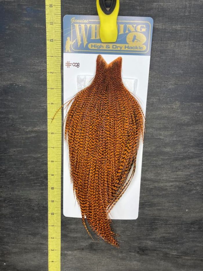Whiting High & Dry Cape - Grizzly Burnt Orange #008