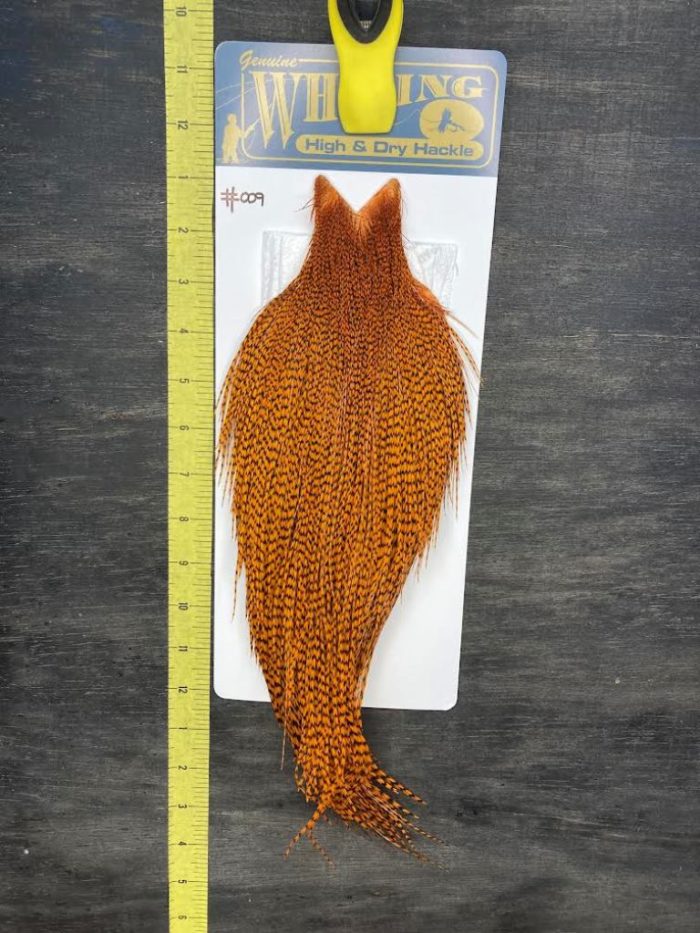 Whiting High & Dry Cape - Grizzly Burnt Orange #009