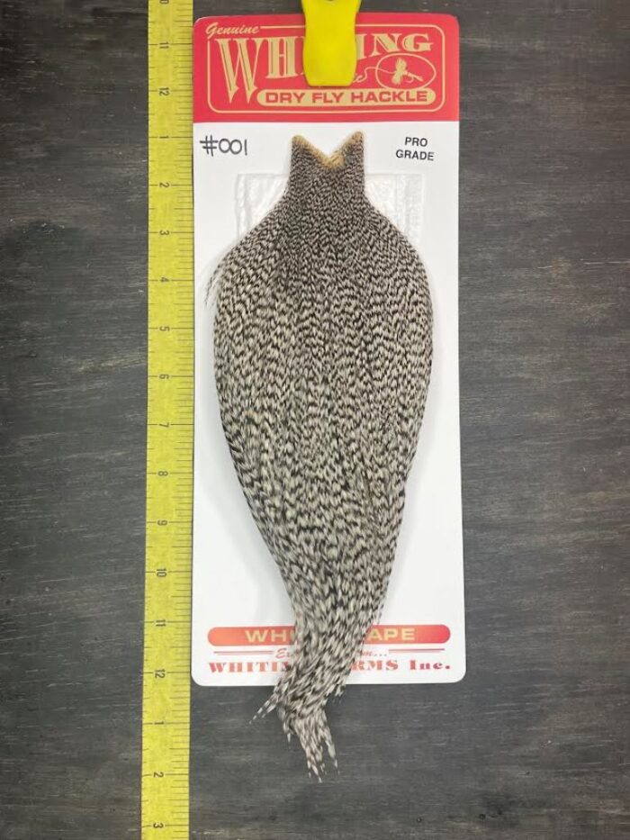 Whiting Dry Fly Cape – Pro Grade – Grizzly #001