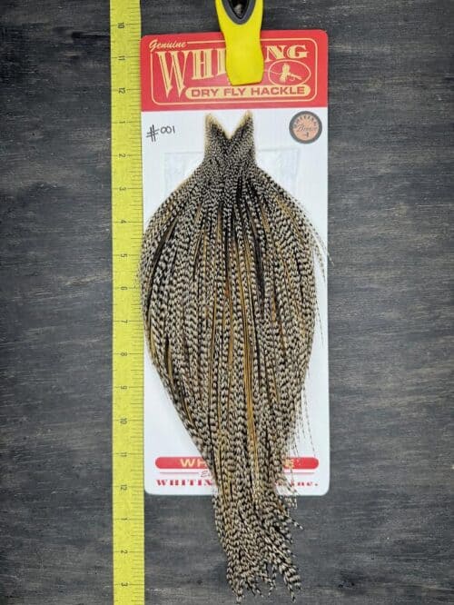 Whiting Dry Fly Cape – Bronze Grade – Grizzly Variant #001