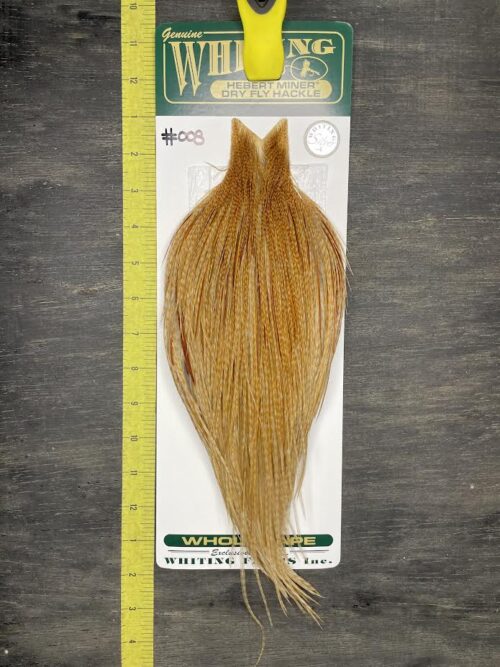 Whiting Hebert Miner Cape – Silver Grade – Barred Medium Ginger #008