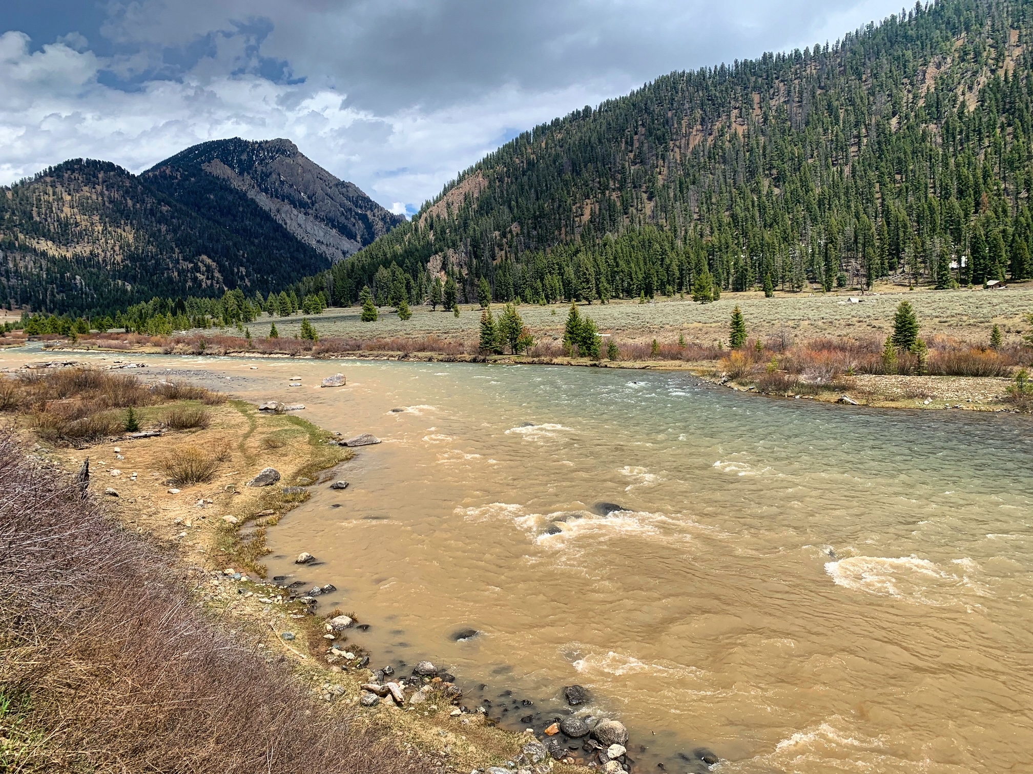 madison river fishing report 5-16-2023