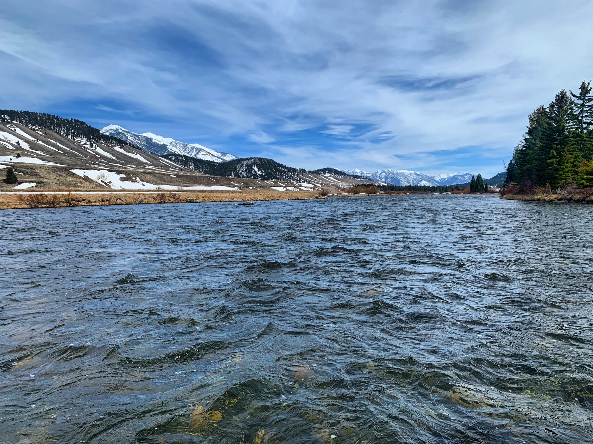 madison river fishing report 5-5-2023