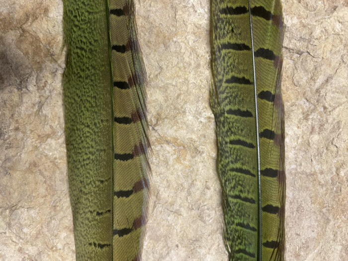 Pheasant Tail Side Feathers