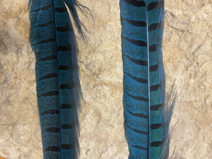 Pheasant Tail Side Feathers