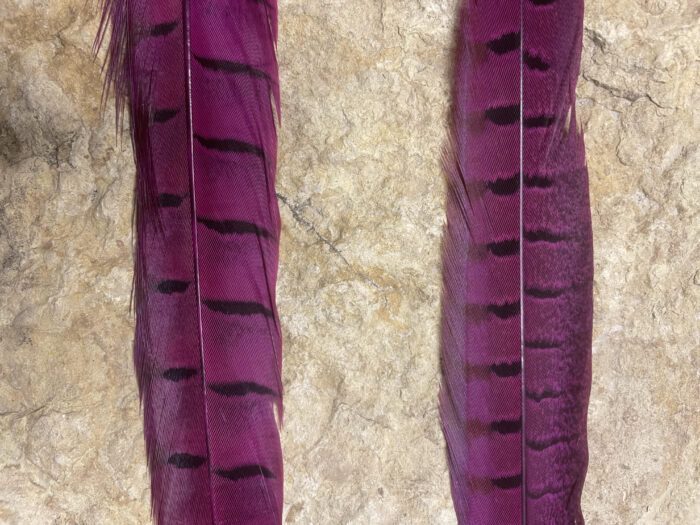 Pheasant Tail Side Feathers