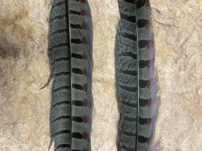 Pheasant Tail Side Feathers