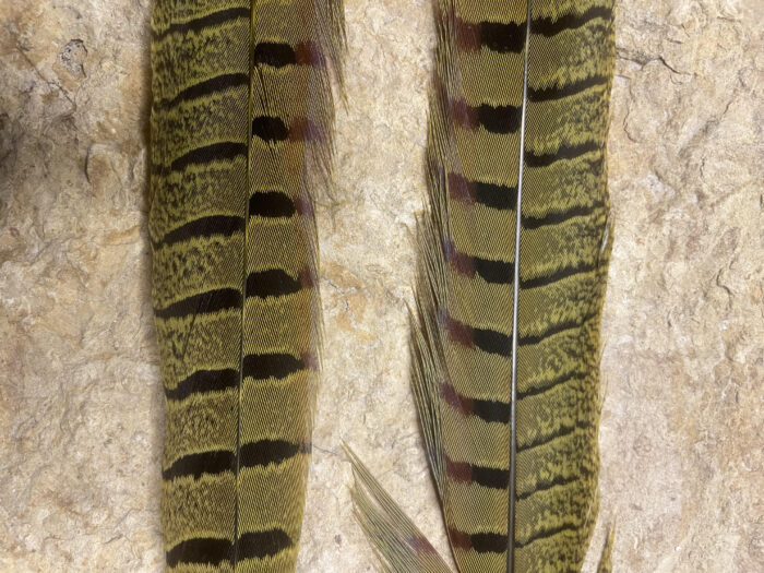 Pheasant Tail Side Feathers
