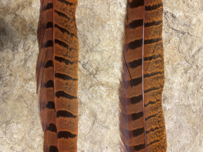 Pheasant Tail Side Feathers
