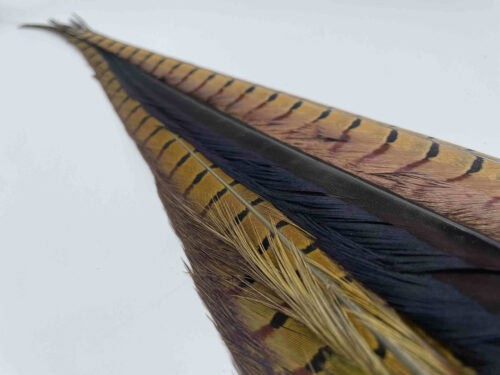 Wild Pheasant Tail Clump for fly tying