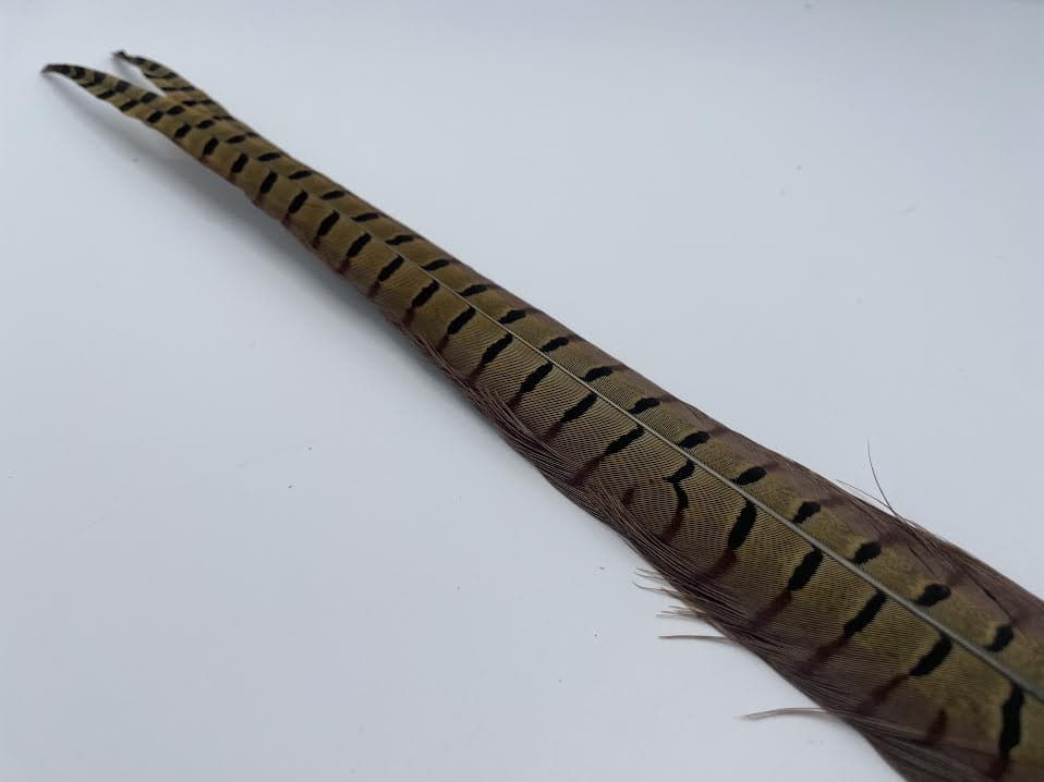 Wild Pheasant Tail Clump - Image 7