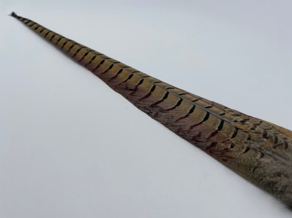 Wild Pheasant Tail Clump - Image 4