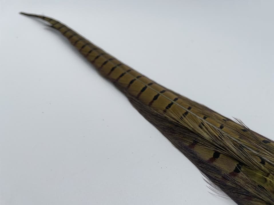 Wild Pheasant Tail Clump - Image 8