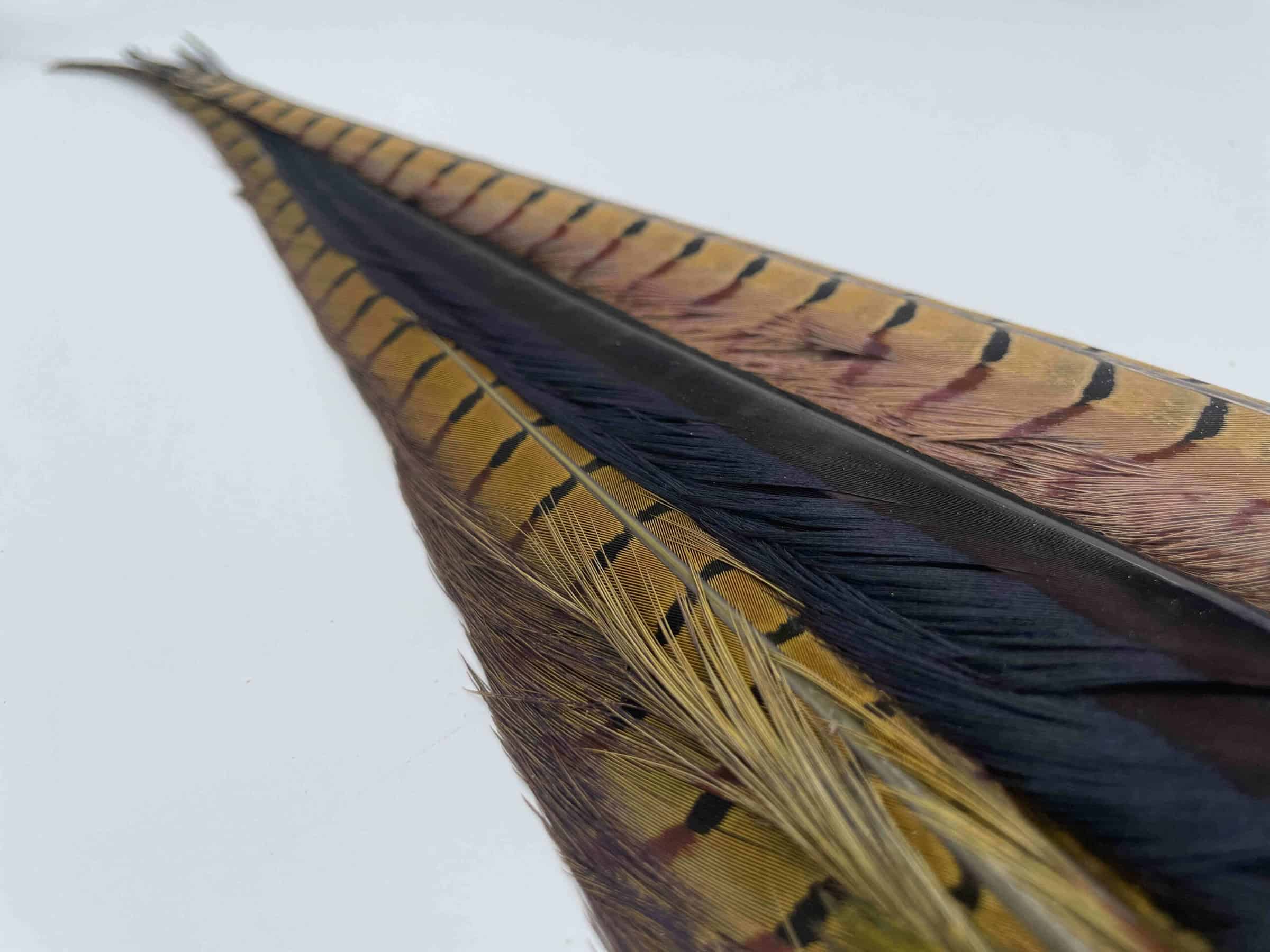 Wild Pheasant Tail Clump for fly tying