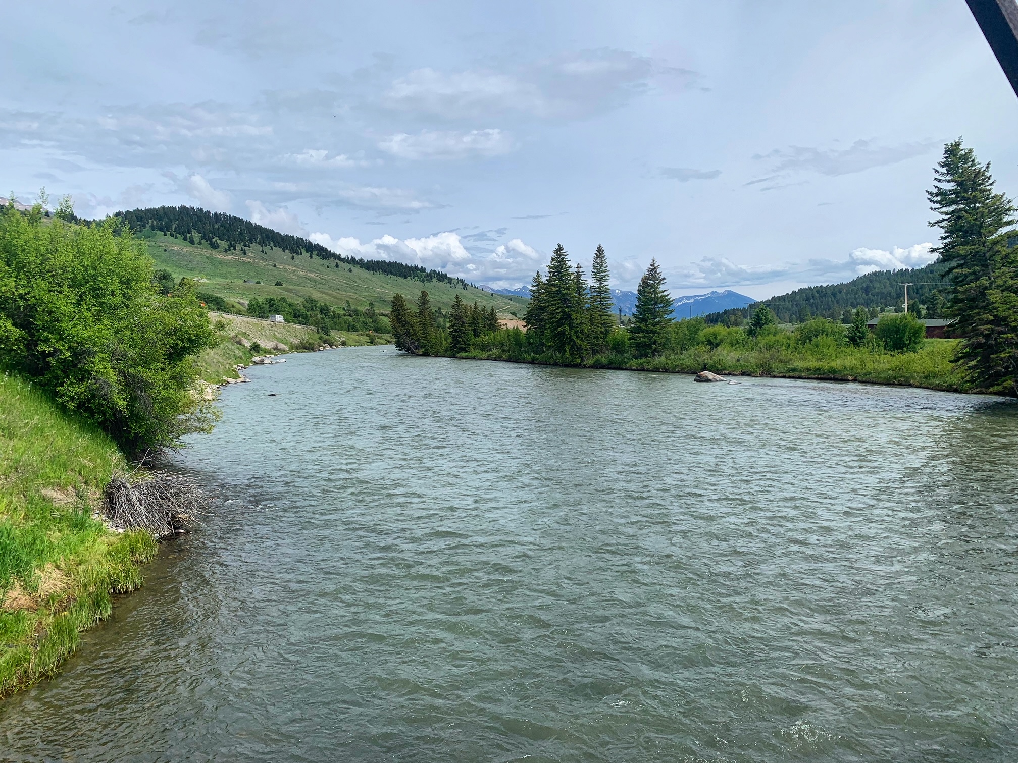 madison river fishing report 6-23-2023