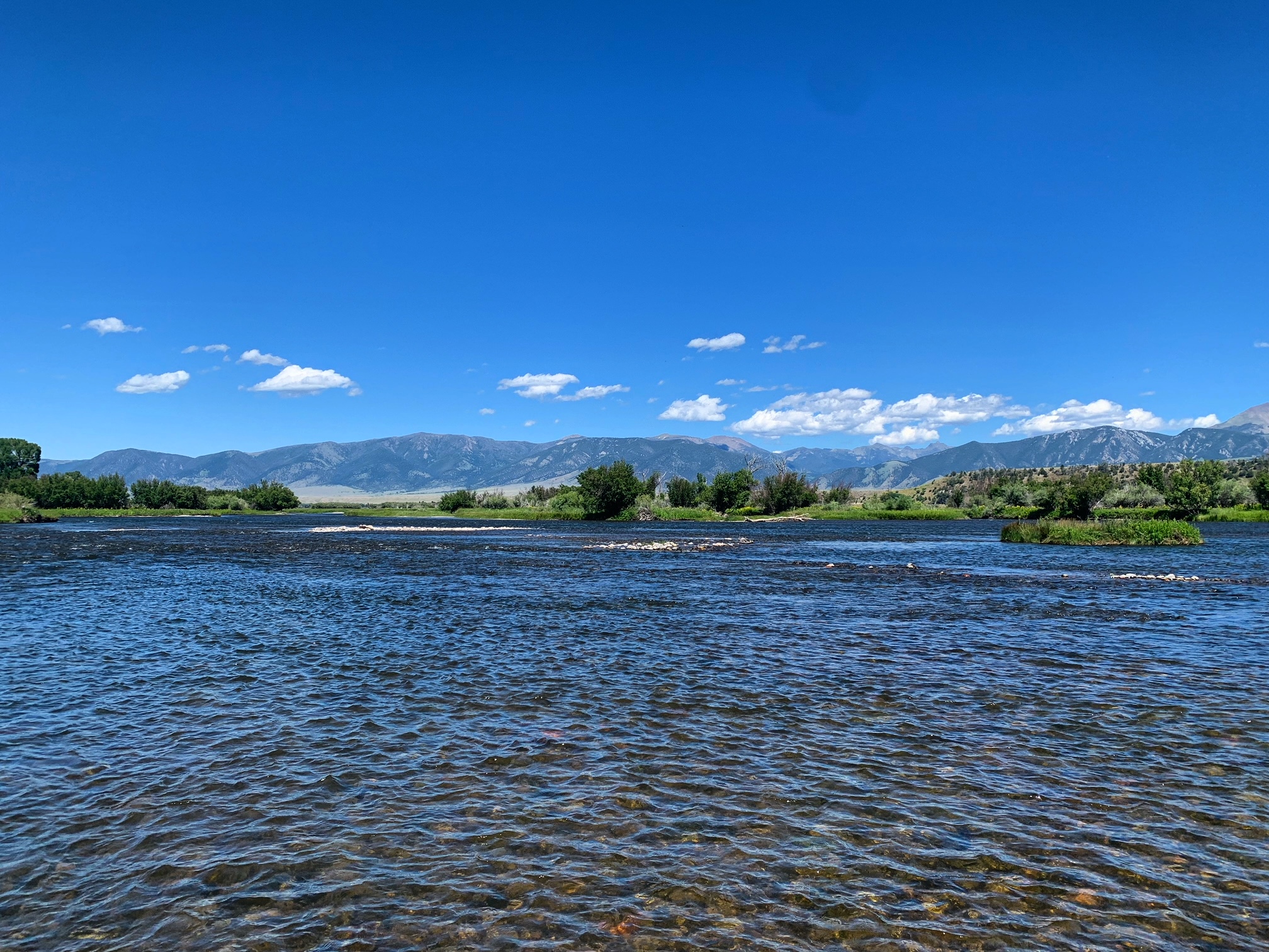 madison river fishing report 7-17-2023