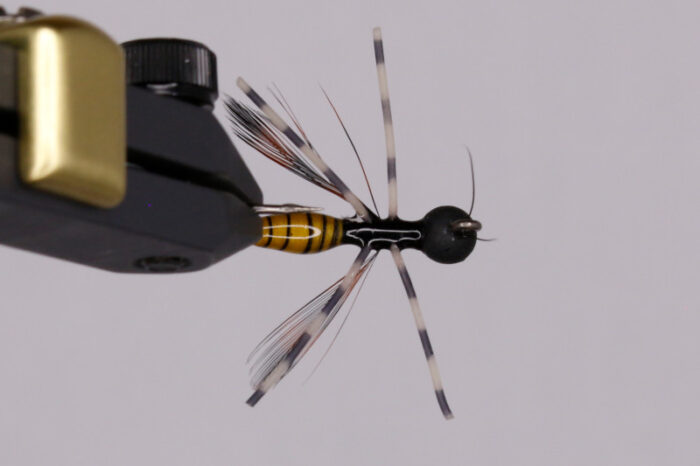Galloup's Drowned Wasp - Image 2