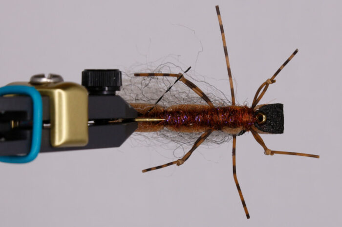 Fool's Gold - Salmonfly - Image 2