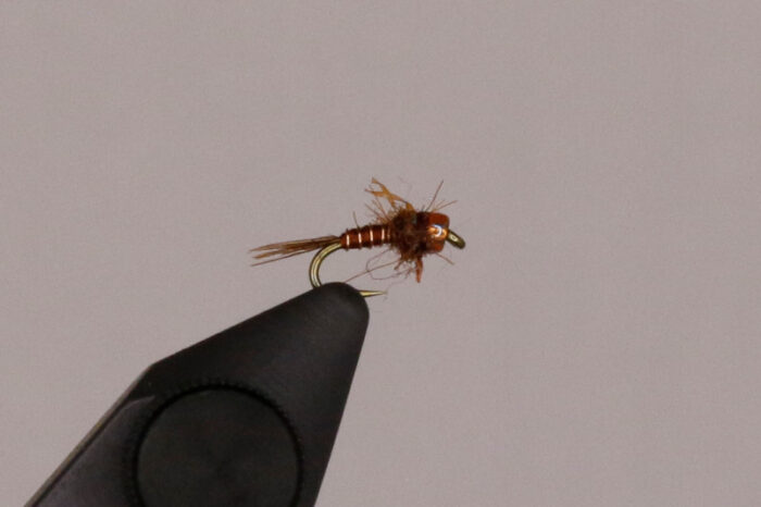 Hogan's Military Mayfly - PMD