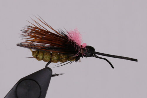 Rogue River Skwala