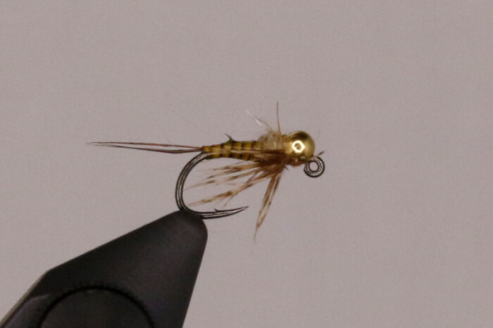 Galloup's Tranquilizer - Image 4