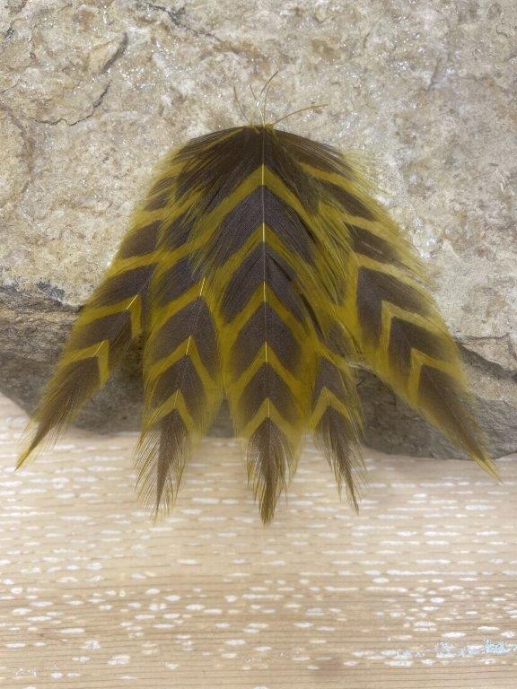 https://www.slideinn.com/wp-content/uploads/2023/08/mfc-fish-feathers-arrowhead-olive-brown.jpg