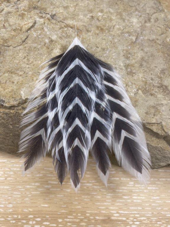 Galloup's Fish Feathers - Arrowhead