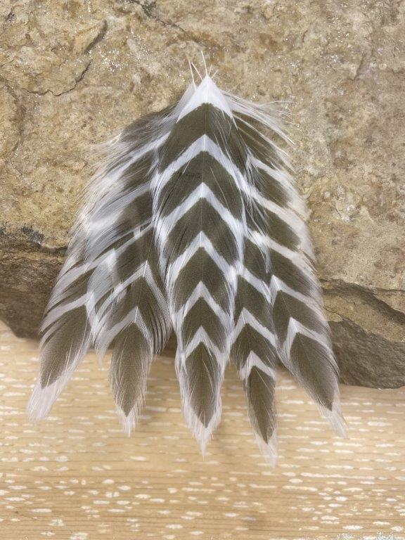 Galloup's Fish Feathers - Arrowhead