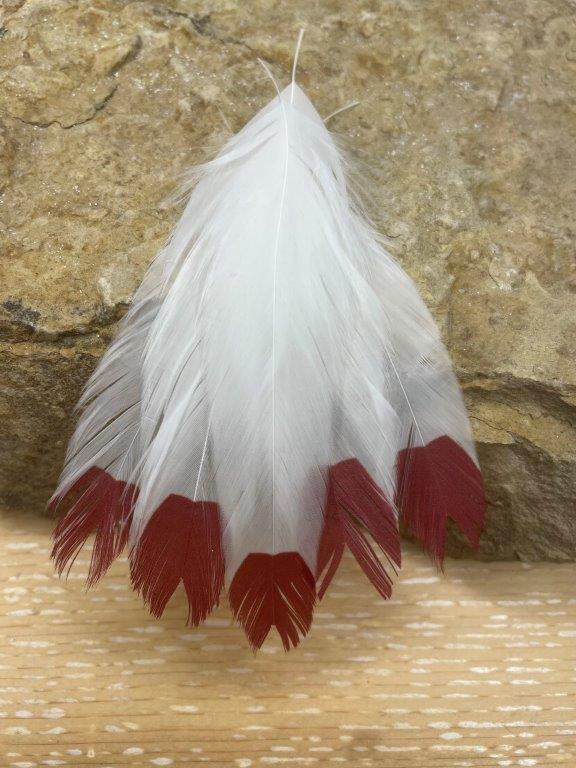 https://www.slideinn.com/wp-content/uploads/2023/08/mfc-fish-feathers-fin-tip-white-red.jpg