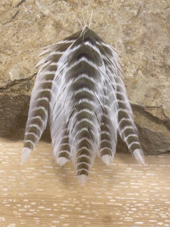 Galloup's Fish Feathers - Grizzled