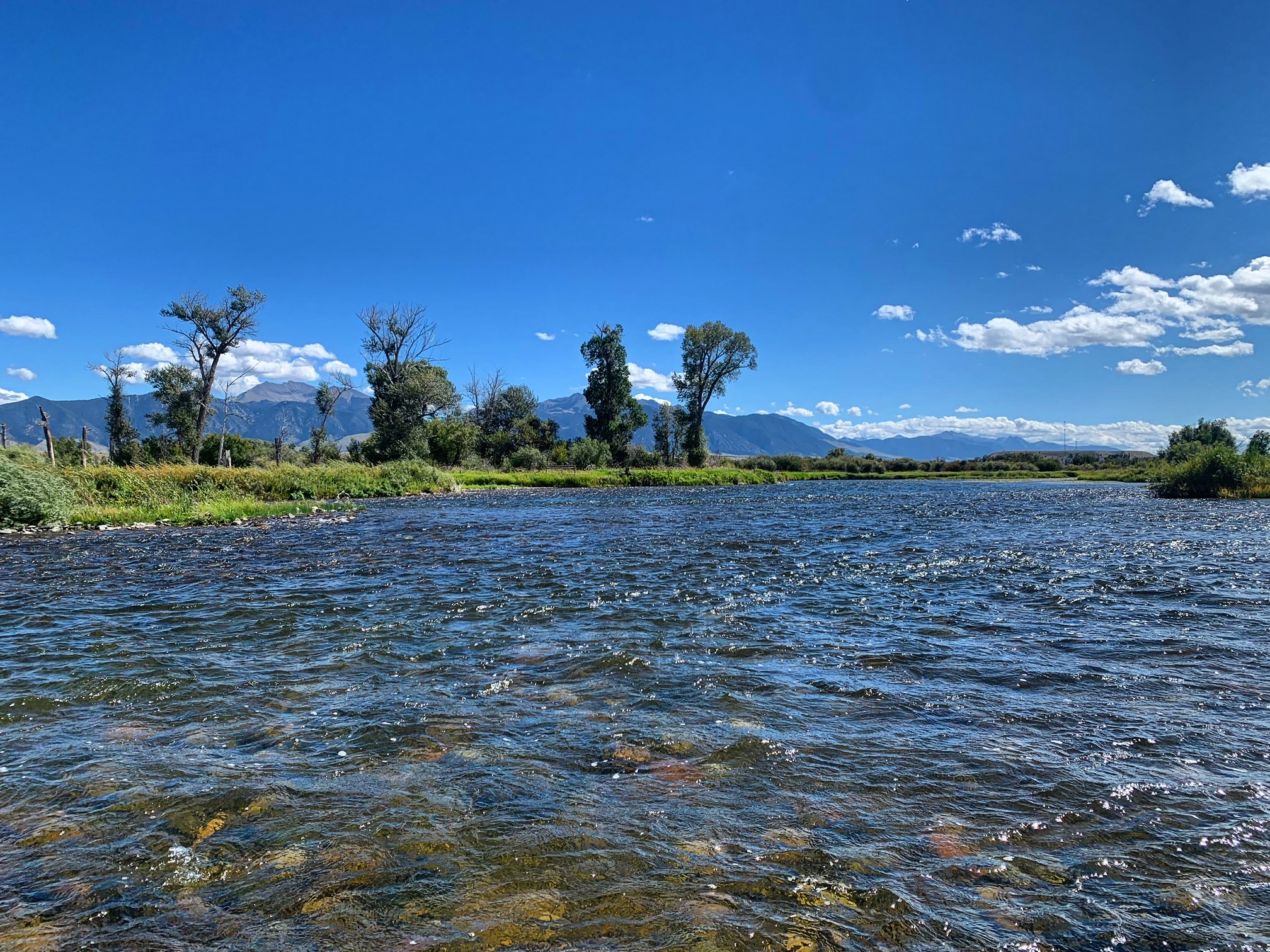 madison river fishing report 9-16-2023