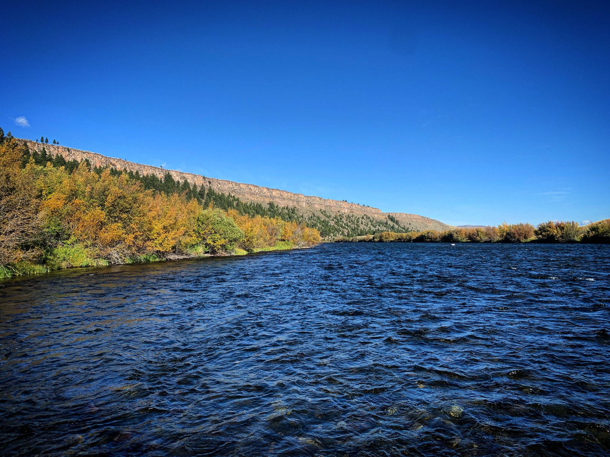 madison river fishing report 9-25-2023