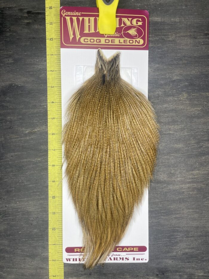Whiting Coq de Leon Rooster Cape - Image 2