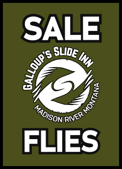 SALE - Clearance Flies