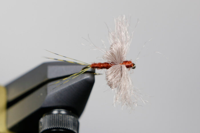 Galloup's Dolly Wing Spinner - Image 7