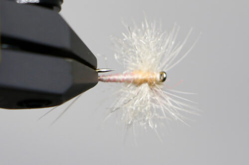 NEW & Back in Stock Flies