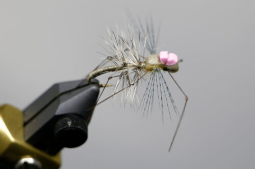 Fly Fishing, C Dry Flies, Midges
