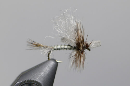 NEW & Back in Stock Flies