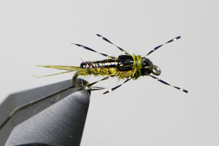 Morrish's Tungsten Anato-May - Image 2