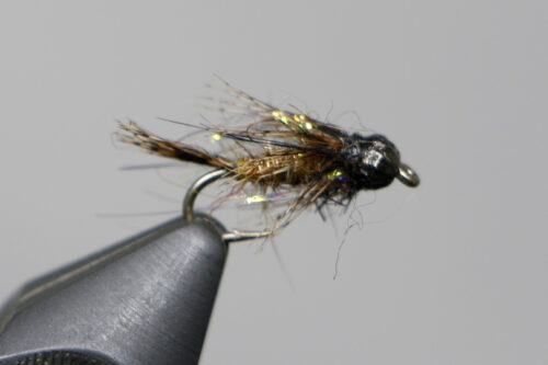 Caddis Archives - Guided Fly Fishing Madison River