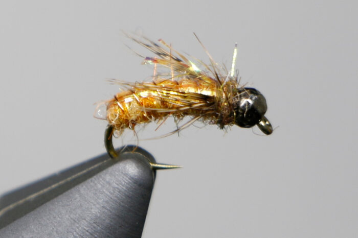 Morrish's Tungsten Super Pupa