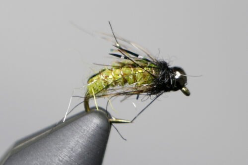 Morrish's Tungsten Super Pupa