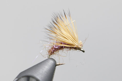 ninchs iceberg caddis