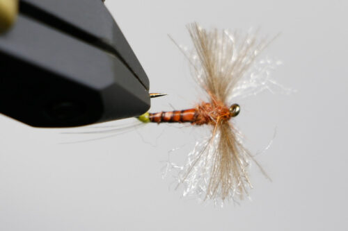 NEW & Back in Stock Flies