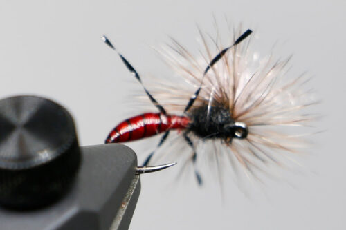 NEW & Back in Stock Flies